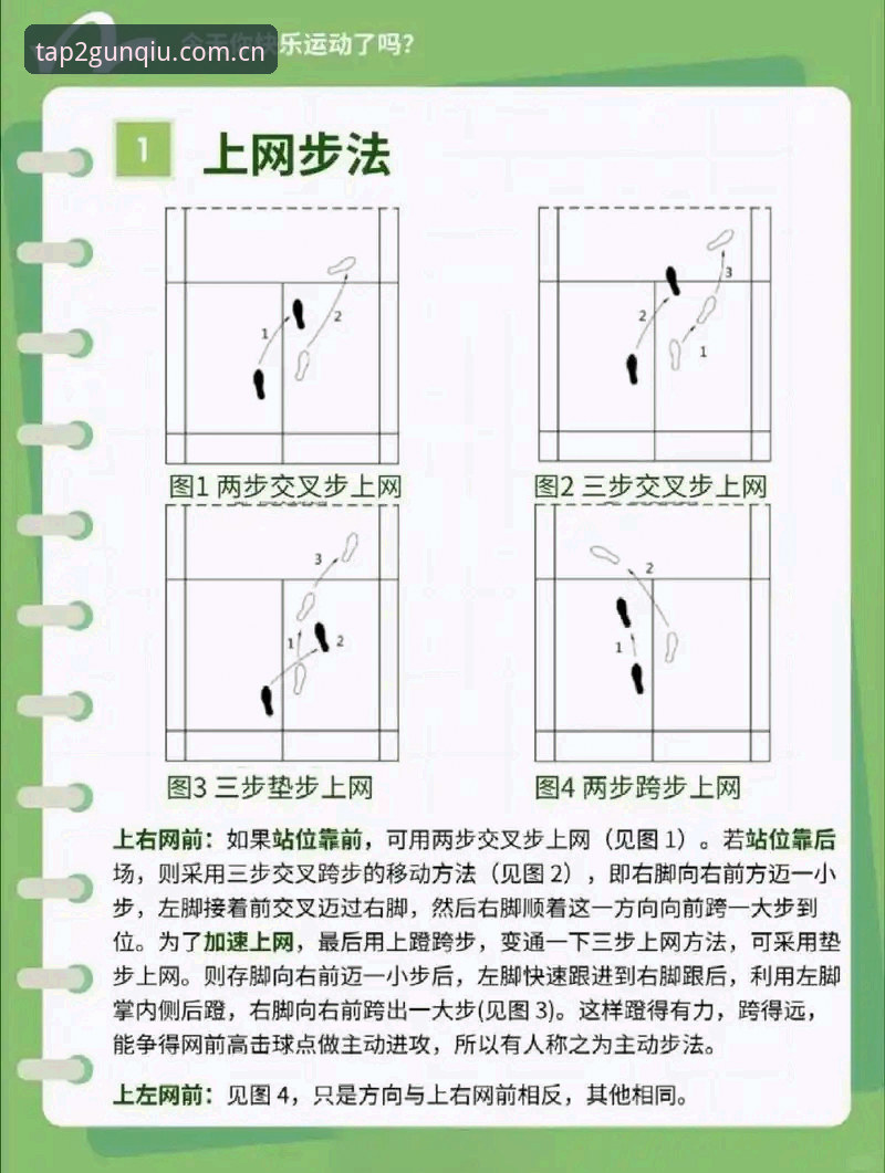 滚球体育平台新手使用指南：从下载安装到实战看盘，一文讲透